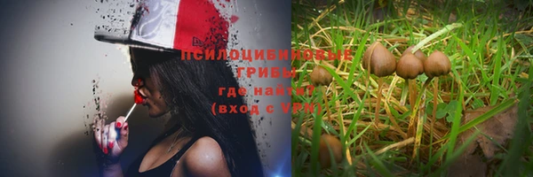 таблы Пестово