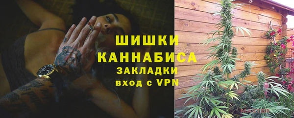 дживик Переславль-Залесский