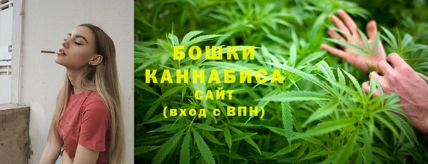 дживик Переславль-Залесский