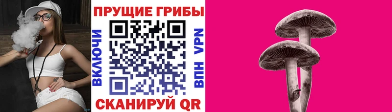 Псилоцибиновые грибы Magic Shrooms купить сайты Миллерово