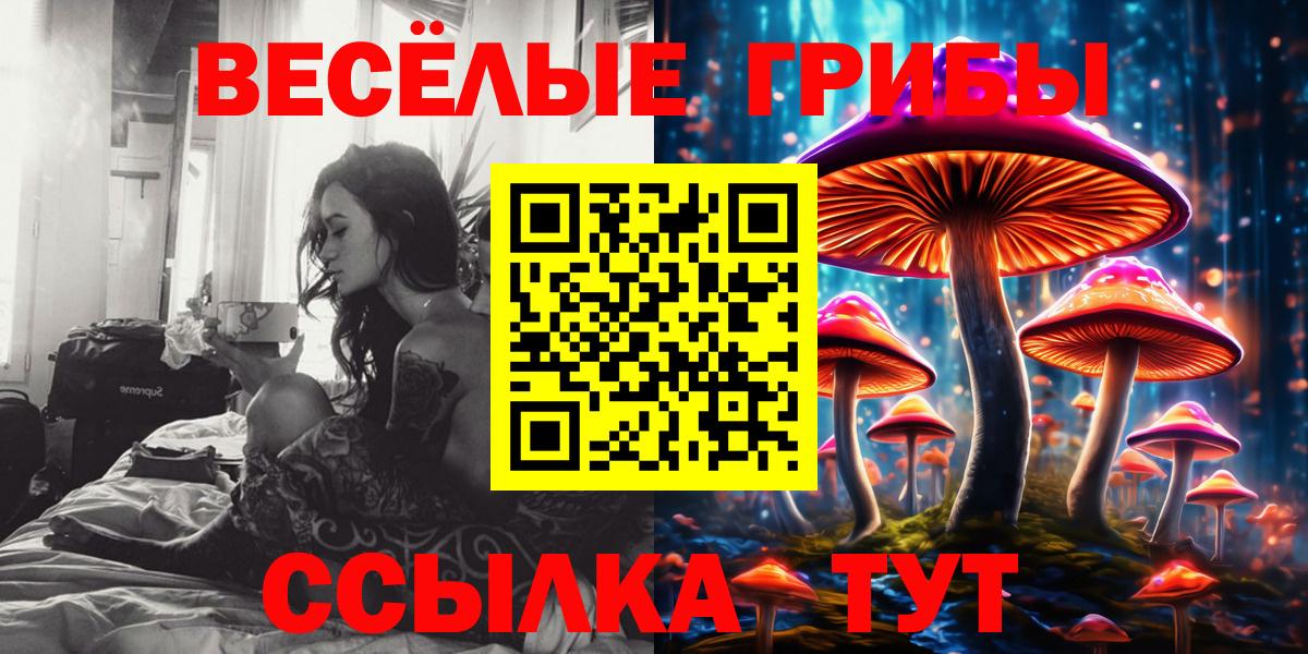 Псилоцибиновые грибы Psilocybine cubensis  Вход с VPN  Псилоцибиновые грибы Magic Shrooms  Миллерово 
